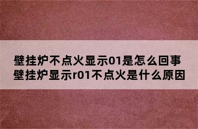 壁挂炉不点火显示01是怎么回事 壁挂炉显示r01不点火是什么原因